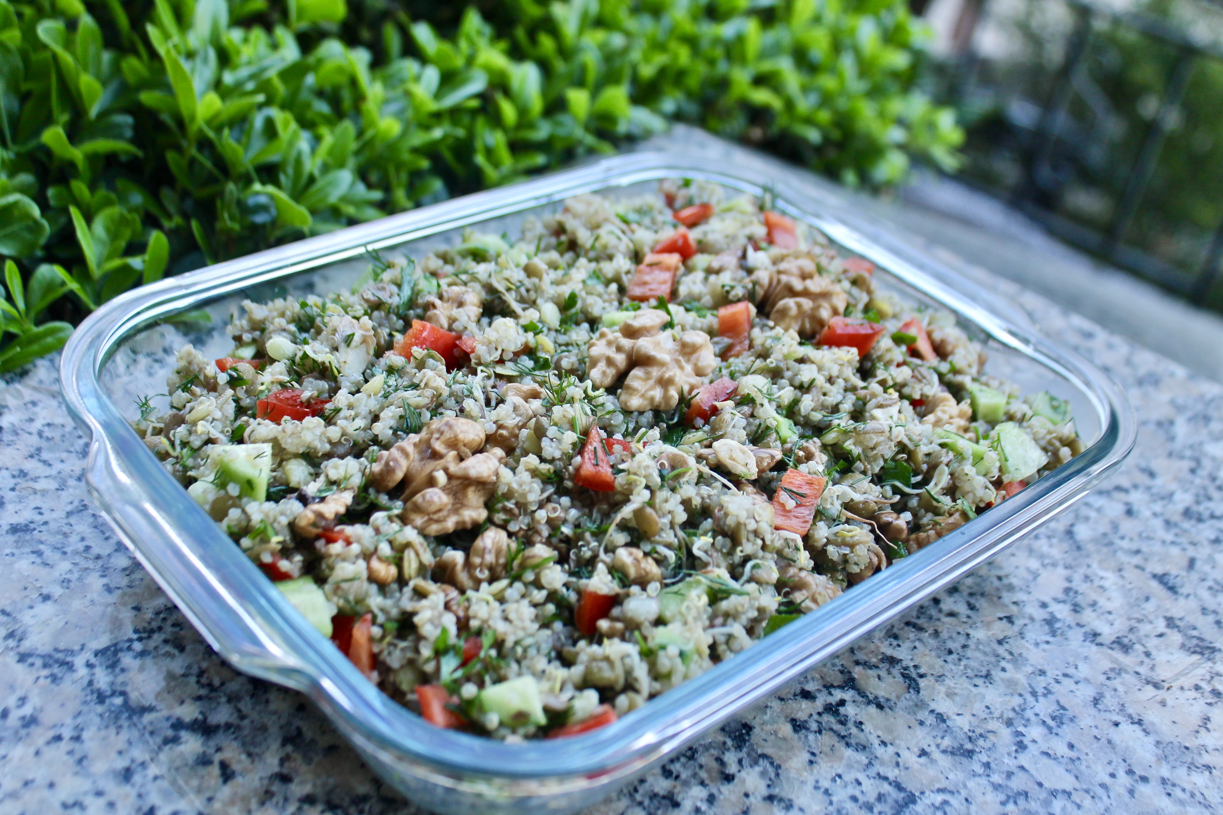 Kinoalı Tahıl Salatası